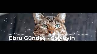 Ebru Gündeş Söyleyin (Pasha Remix) Resimi