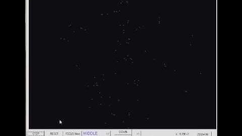 OpenGL Particle Gravity Simulator