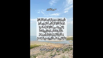 سورة النساء ١٤١ #قرآن #قرآن_كريم #قران #قران_كريم #قرأن #quran