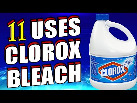 Video: Diferența Dintre Clorox și Bleach