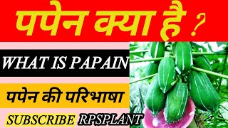 पपेन क्या है ? || Papain kya hota hai || RPSPLANT||