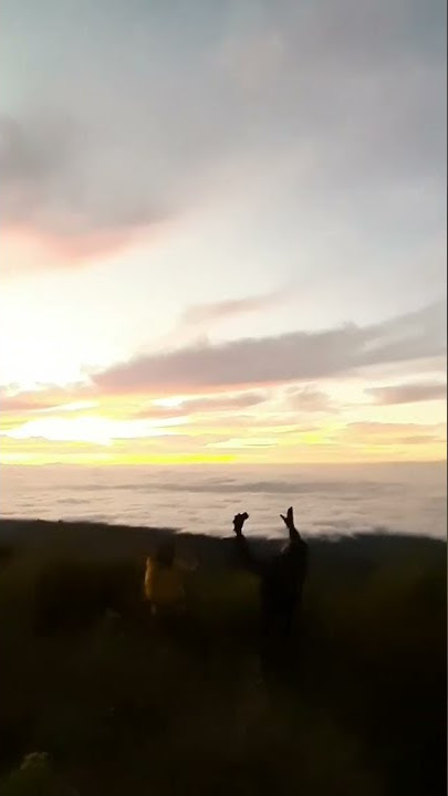 PUNCAK B29 LUMAJANG | HALU STORY #shorts  #storyhalu #storyig #storywa