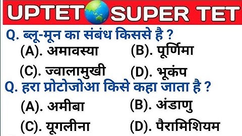 UPTET 2021 || Super TET EVS Important Questions || Super TET || UP LEKHPAL || SSC || RRB || UPPET