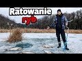  AKCJA RATUNKOWA 😀  ryby się duszą przyducha 😭