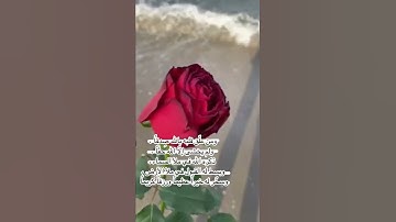 [ وقالوا لن تمسّنا النّار إلّا أيّام معدودة... ] - تلاوة خاشعة ومؤثرة - القارئ ماهر المعيقلي