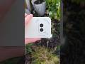 The Nothing Phone 2a Still Has An INSANE Camera In 2025! #nothing #nothingphone2a #camera #tech