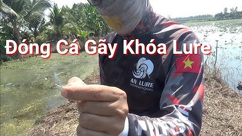 Thử Thách Câu Cá Lóc Bằng Nhái Hơi Câu Cá Giải Trí Snakehead Fishing p2