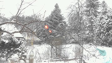 Raspberry Pi Time lapse test #2 (my bird feeder through the window)