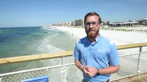 What to do if you catch a sea turtle while fishing: Graham Northup, curator of fish and reptiles at