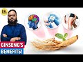 Ginseng booti sugar demag sozish ka ilaj ginseng benefits  dr ibrahim