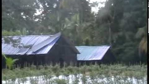 Mushroom Misting System
