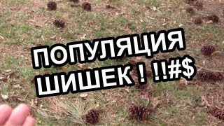 Очень интересные особенности места для Шуни Очень интересные особенности места для Шуни