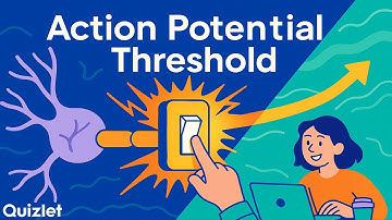 Action Potential Threshold Explained | All-or-None Firing in Neurons