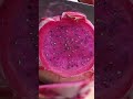 Get ready for a sensory treat with frozen fruit-cutting ASMR! 🔪  #shorts