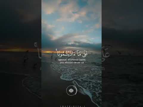ولنصبرن على ما آذيتمونا وعلى الله فليتوكل المتوكلون تلاوة هادئة
