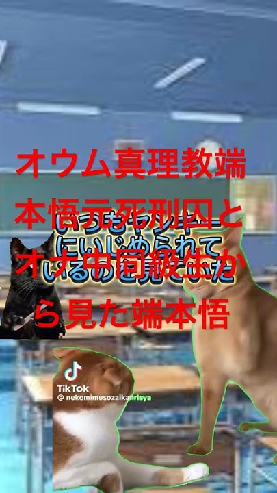 同じクラスにオウム真理教端本悟元死刑囚がいたんだが 猫ミーム 宗教 YouTube