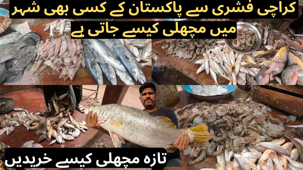 How to buy Fish Online in Pakistan | Karachi Fishery | Karachi Online Sea Food | Karachi Fish Market