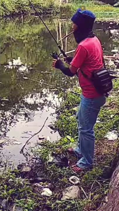 STORY WA 🔵 JENGGOT MANCING LUCU!!..