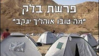 פרשת השבוע פרשת בלק