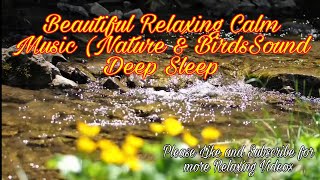 Beautiful Relaxing Calm Music ( Nature & Birds Sound Deep Sleep) Music screenshot 3