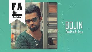 Bojin Max - Dile Min Bu Teye (Official Audio)