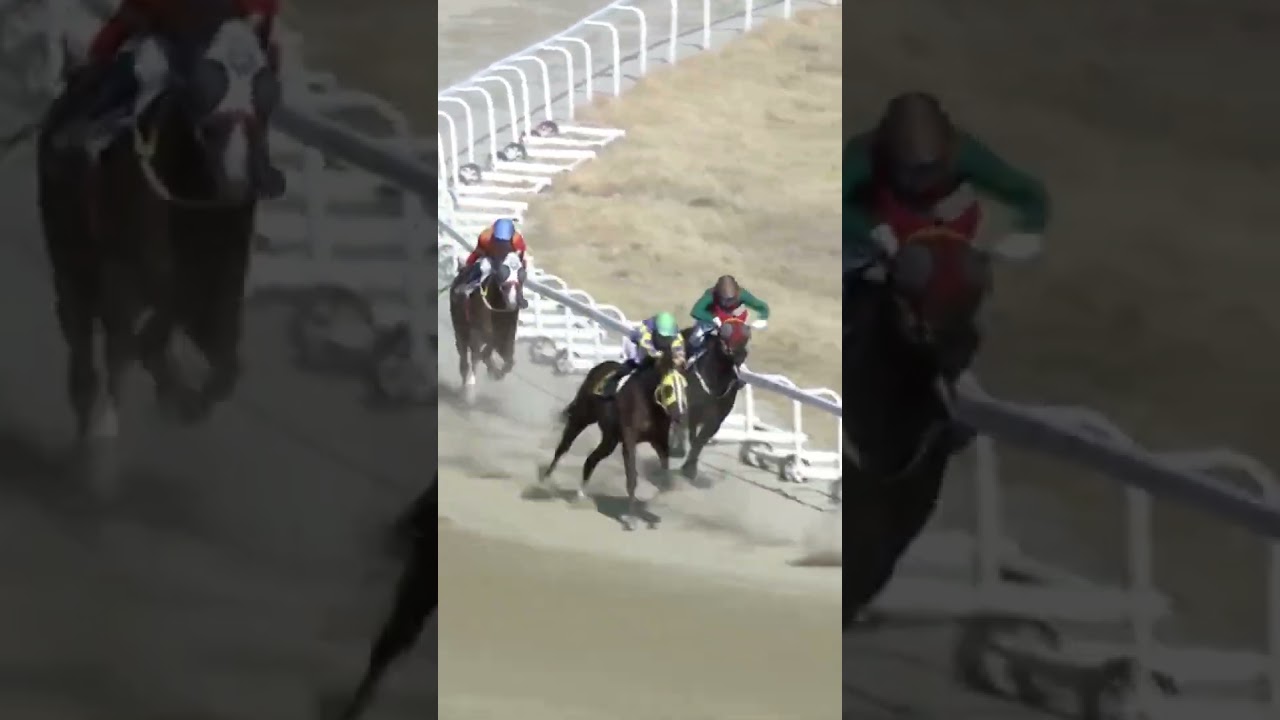 23배적중4번   세방으로