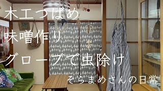 SUB＃４９【暮らしvlog】木工のつばめ/無印良品の洗いざらしワンピース/今日は豪華にステーキ/桜の絨毯/味噌作りキット/グローブで虫除け作り