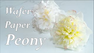 видео: Пион из Вафельной Бумаги картинка: Пион из Вафельной Бумаги