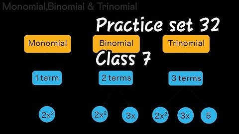 |L_8 Algebraic Expression|Practice set 32|Class 7|Mathematics Tutorial|