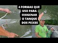 SOLTANDO 1000 ALEVINOS DE TILÁPIA NO TANQUE.+ {COMO FAÇO A OXIGENAÇÃO DOS PEIXES}