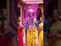 “ब्रज की होली, कान्हा के संग 💛🌸”#shorts #status  #krishnaholistatus #bhaktistatus #holi #holistatus