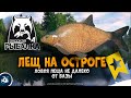 Русская Рыбалка 4 — озеро Старый Острог, Лещ