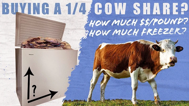 Buying a Quarter Cow? How Much Freezer Space? | Carnivore Diet Chronicles