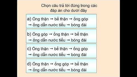 Tuần  22 Tiết 41Sinh 8 Bài 39 BÀI TIẾT NƯỚC TIỂU