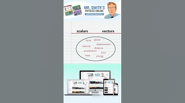 National 5 Physics definitions - scalar & vector test
