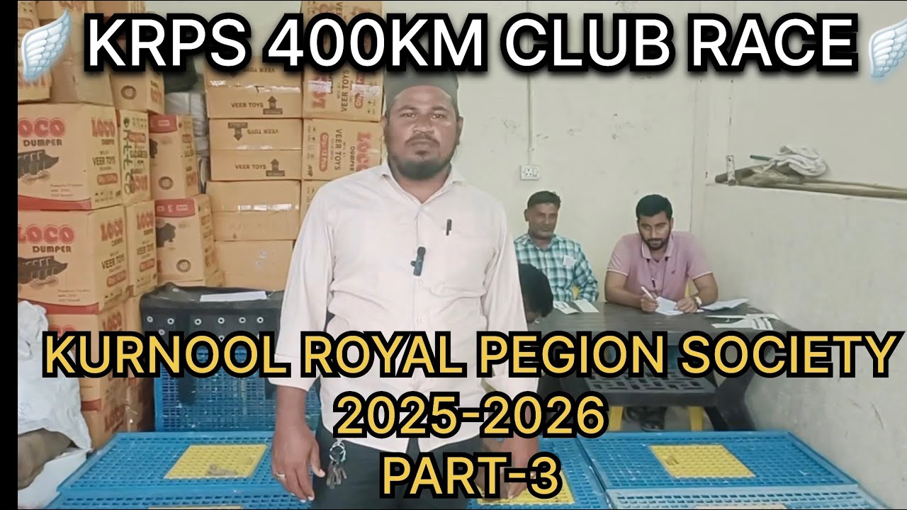 KRPS (KURNOOL ROYAL PEGIONS SOCIETY)200KM RACE VIDEO UPDATE @RACINGPEGION @KABUTAR ‪@Andhrakabutar‬
