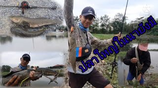 garb fishing/หาช่อนใหญ่แสนลำบาก/Ep17