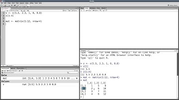 Introduction to indexing in R