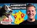 Agressivit prdation chiens  que faire  l jour 5  tour de france educ dog