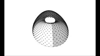 Developable Surface
