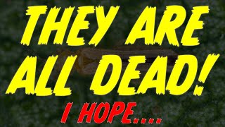 THRIPOCALYPSE!!! And other fun updates :) #marshydro