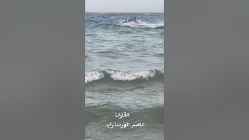 #عاصم_الهوساوي #تلاوة_خاشعة #لايك #مزامير_آل_داود #تيك_توك #ايات_قرانيه_قصيره #صلاة_التراويح #ترند
