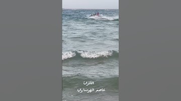 #عاصم_الهوساوي #تلاوة_خاشعة #لايك #مزامير_آل_داود #تيك_توك #ايات_قرانيه_قصيره #صلاة_التراويح #ترند