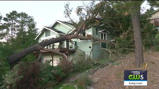 Multiple downed trees reported in Cambria, Morro Bay