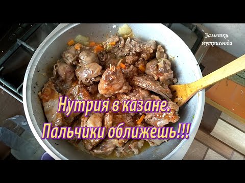 Video: Нутрияны кантип бышырууга болот