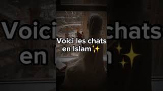 LES CHATS EN USLAM#islam #islamic #chat