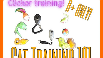 How To Use A Clicker!