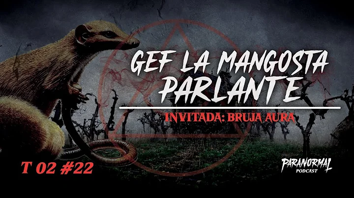 GEF LA MANGOSTA PARLANTE Y LA MAGIA DE LOS MUERTOS...