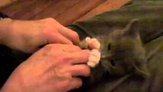 Nice Girls -Striptease Show In Gogo Bar In Thailand3.Flv