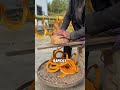Have You Ever Seen a Pumpkin Turned Into a Four Meter Long Dried Strip